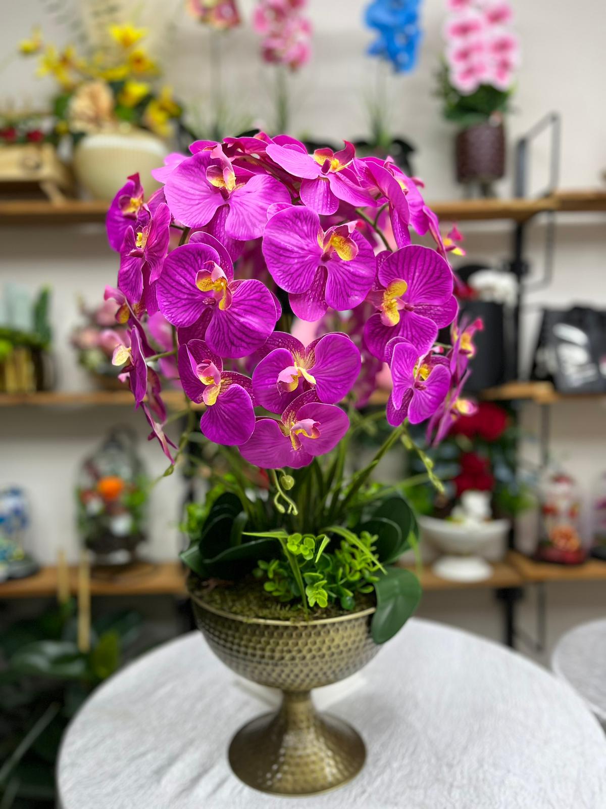 5li Canlı Mor Orkide