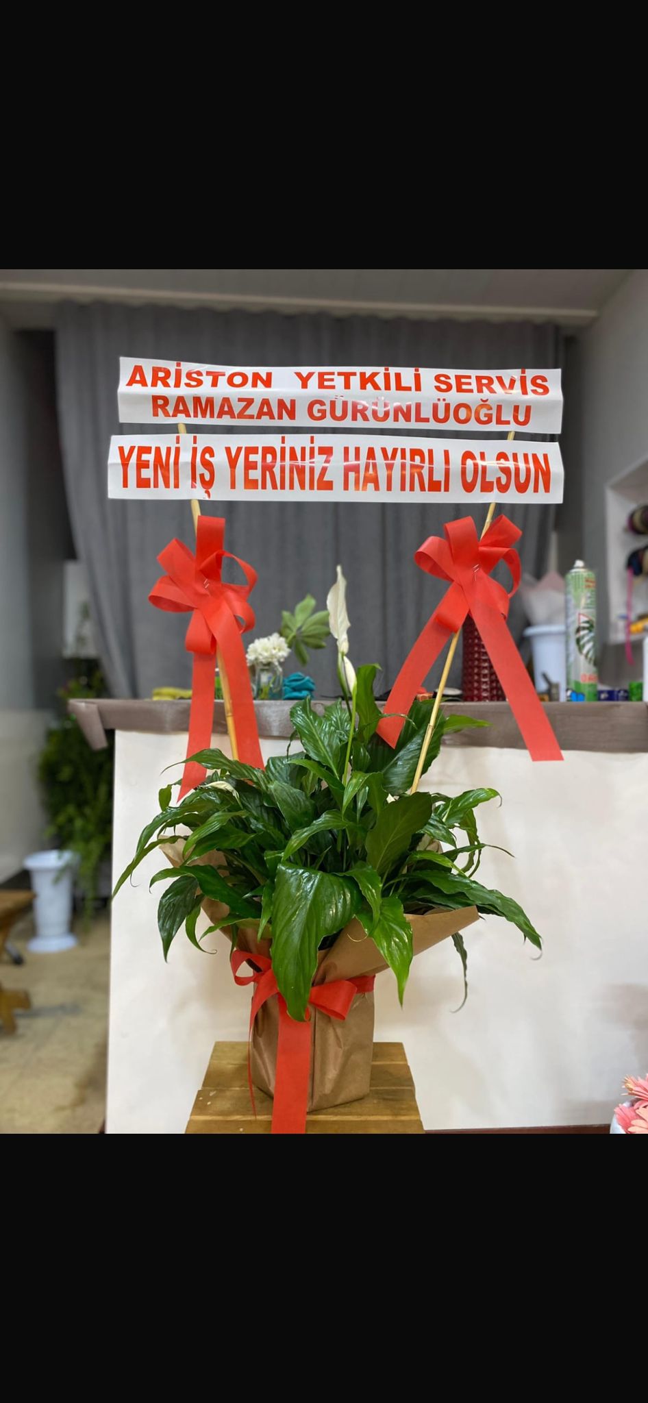 Saksı Çiçeği Spatifilyum
