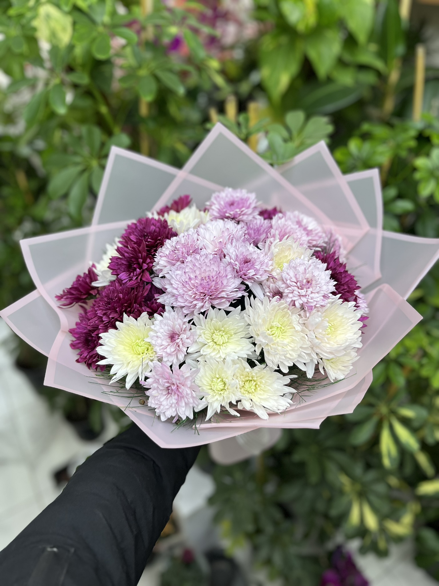 Pempe ve mor kasımpatı buketi